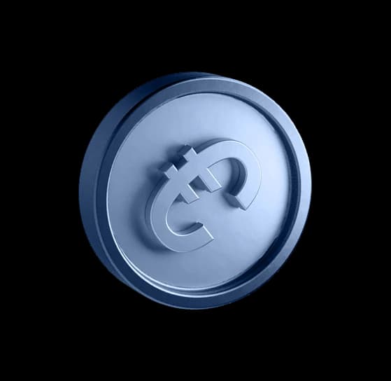 Euro coin